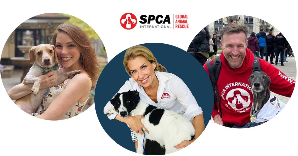 The Beagle Alliance welcomes Lori Kalef, the Director of Programs, Katie Raab, the Advocacy & Events Campaign Coordinator, and Owen Laukkanen, Programs Associate of SPCA International, a global animal welfare organization.